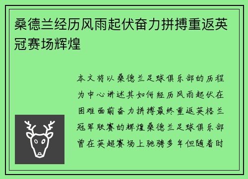 桑德兰经历风雨起伏奋力拼搏重返英冠赛场辉煌